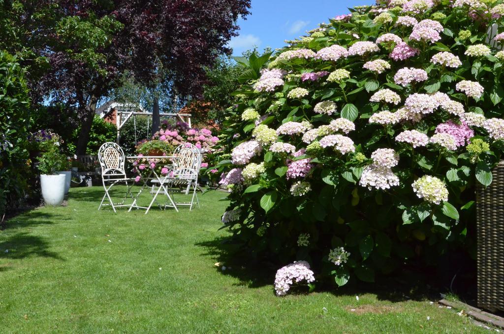 Bed and Breakfast Bloemenhoeve Birdaard Exterior foto